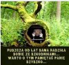 Nie wiem ile już wycięto np.dęby buki graby