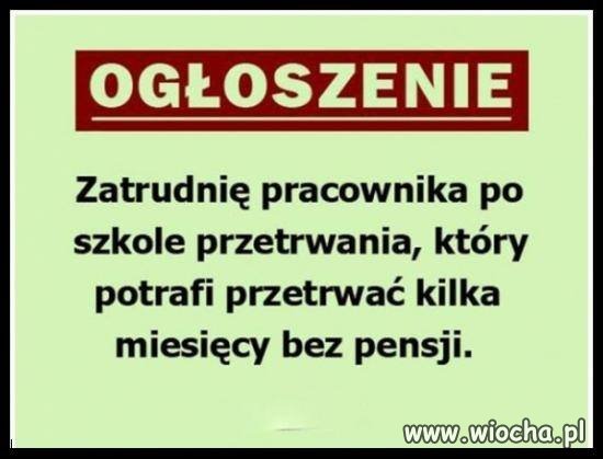 Ogłoszenie 