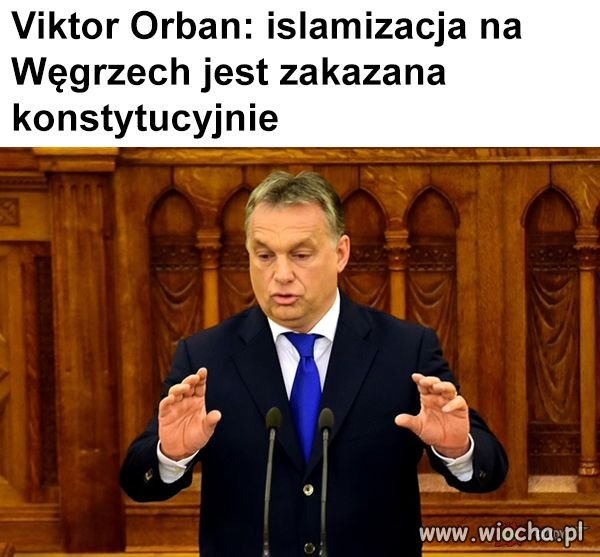 Brawo wy