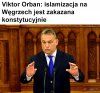Brawo wy
