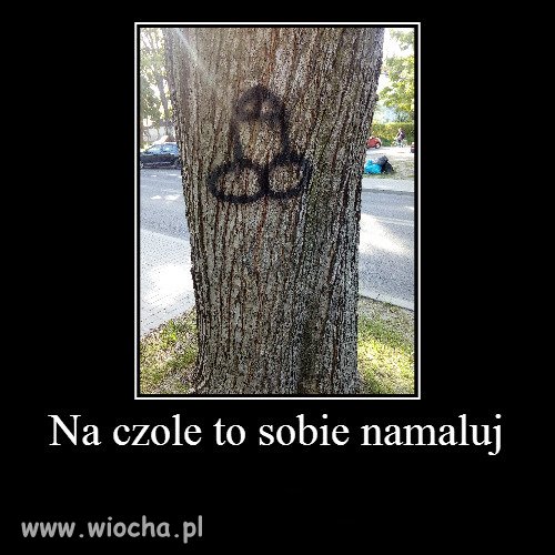 Gdzieś w Lublinie