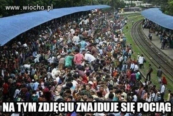 Potrafisz go odnaleźć?