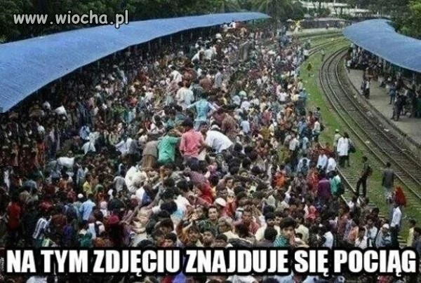 Potrafisz go odnaleźć?