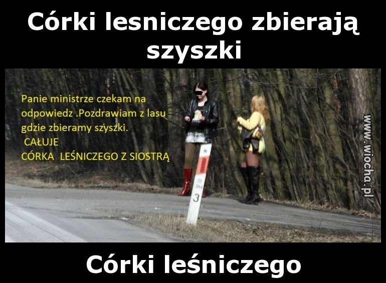 Córki leśniczego zbierają szyszki 