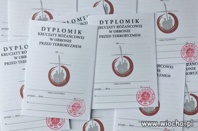 Dyplomik 