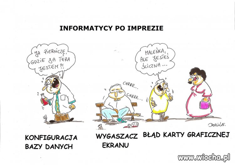 Informatycy