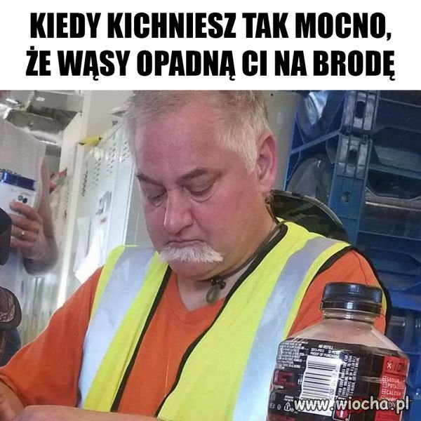 Wąsy