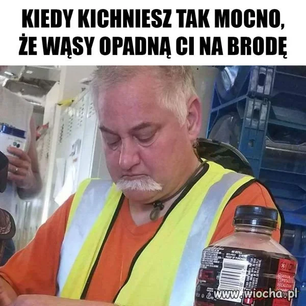 Wąsy