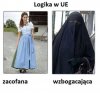 Logika w UE