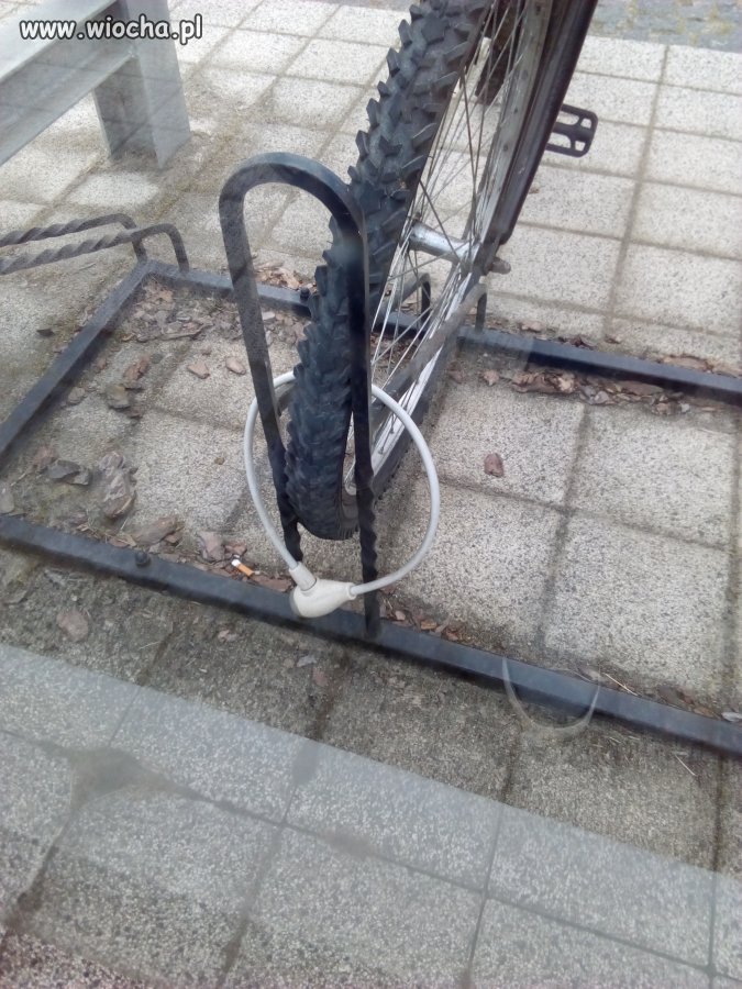 Grunt to dobre zabezpieczenie