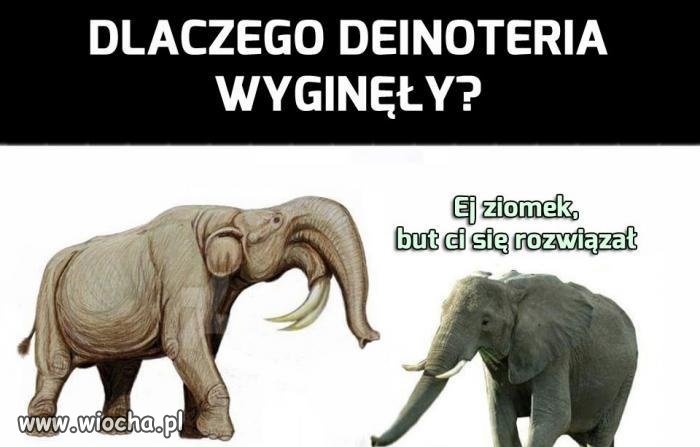 Wszystko przez śmieszków