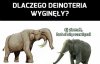 Wszystko przez śmieszków