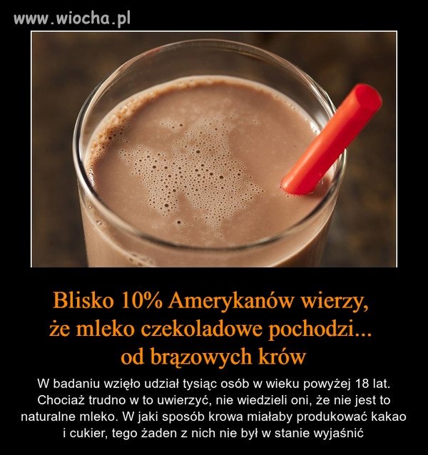 Nie od dziś wiadomo, że to idioci