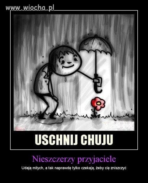 Przyjaciele