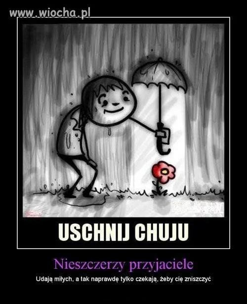 Przyjaciele