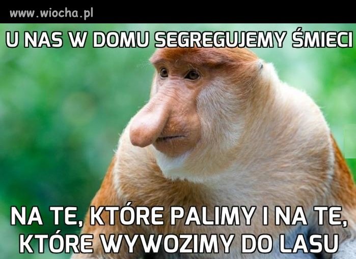 Ekologia ważna rzecz
