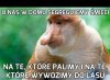 Ekologia ważna rzecz