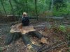 Nie, to nie jest Puszcza Białowieska