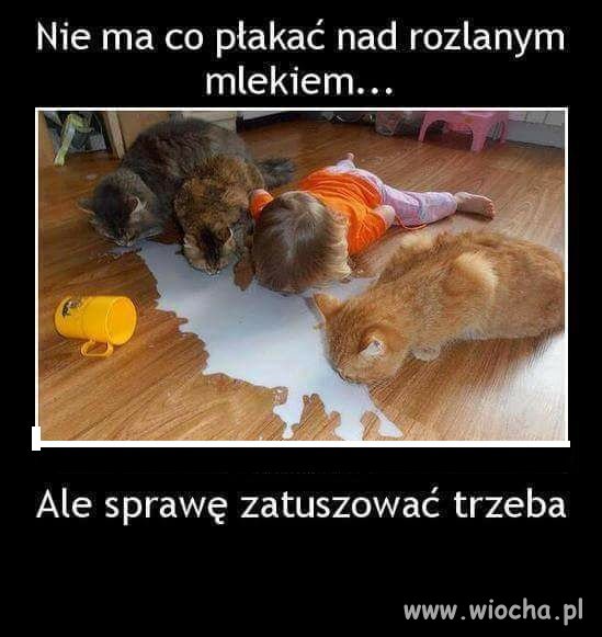 Nie ma co płakać