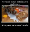 Nie ma co płakać