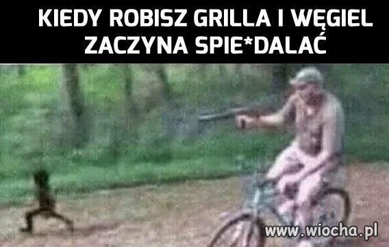 Wracaj tu!