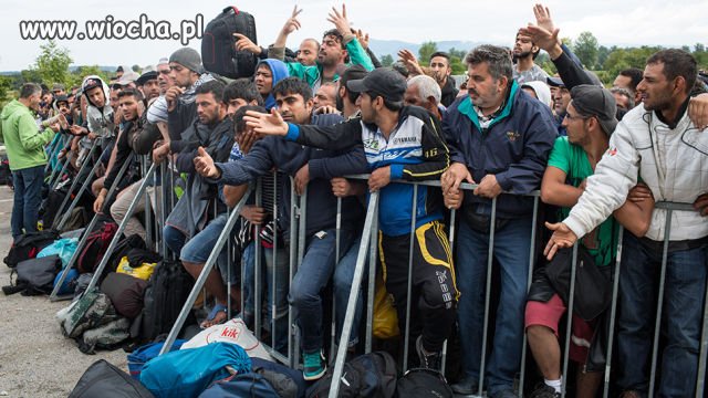Czechy przyjęły 12 imigrantów,więcej nie przyjmą.