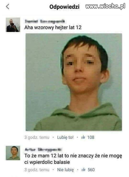 Wzorowy hejter