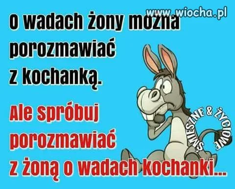 O wadach