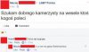 Kamerzysta