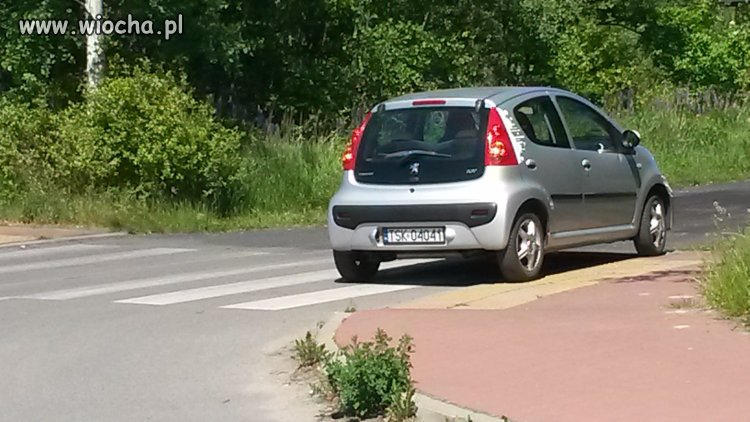 Mistrz parkowania 