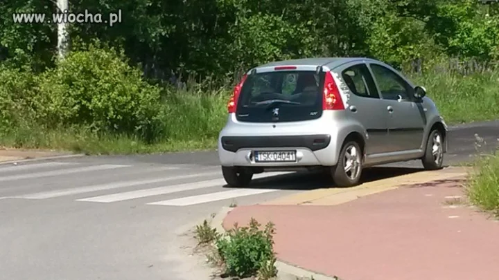 Mistrz parkowania 