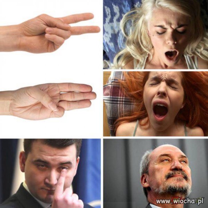 Coś w tym jest... 