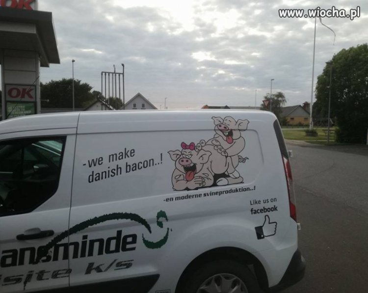 Reklama duńskiej wieprzowiny 