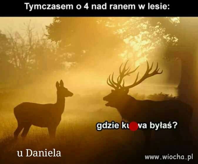 Nad ranem