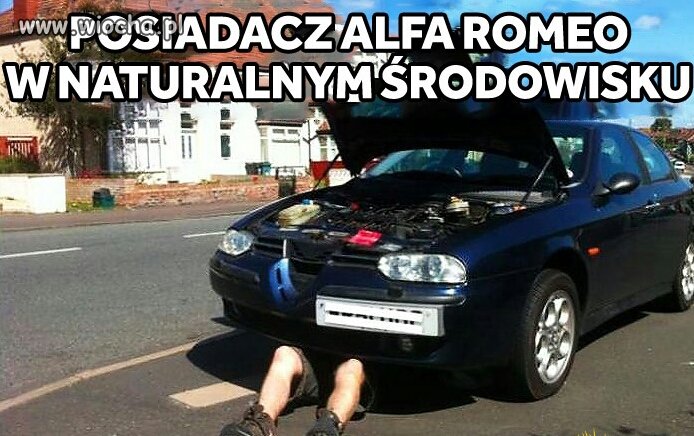 Alfa