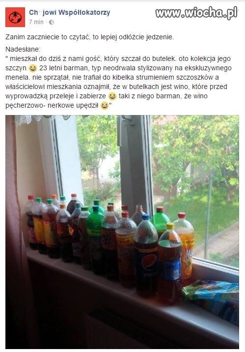 Aż się wierzyć nie chce