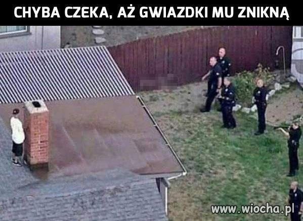 Za dużo GTA