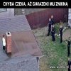 Za dużo GTA