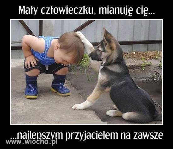 Tak rodzą się przyjaźnie.