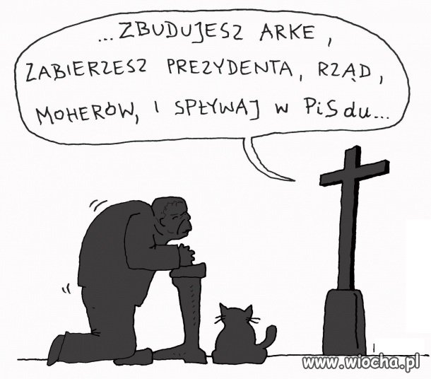 On nie umie budować.