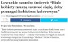 To nie feminizm