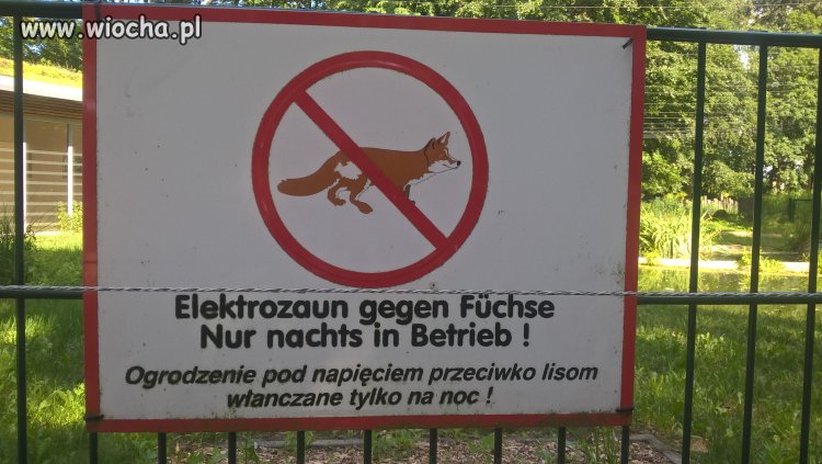 Polskie napisy