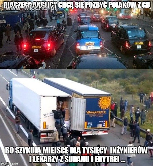 Anglicy chcą sie pozbyć imigrantów z Polski