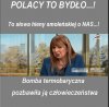 Jeśli Polacy to bydło