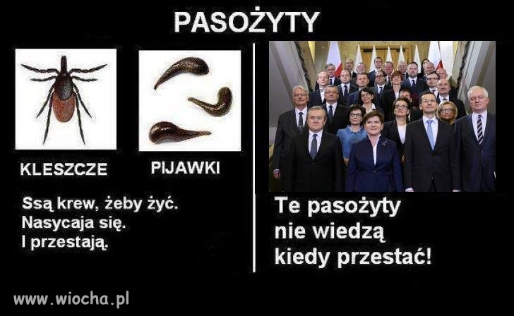 Dobra zmiana