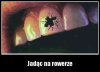 Lato
