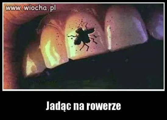Lato