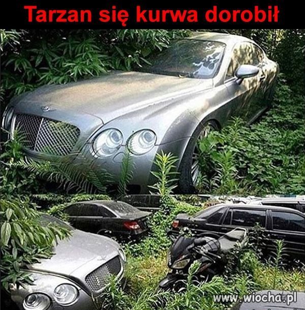Tarzan