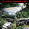 Tarzan