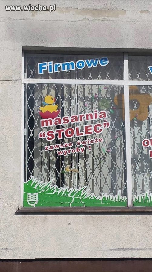 Świeże wyroby
